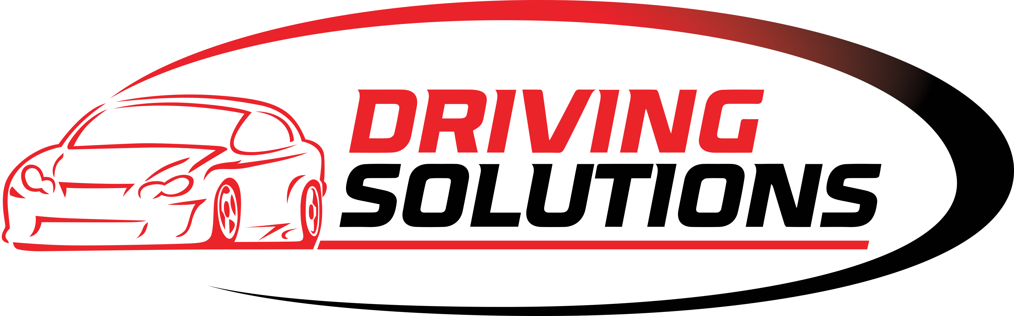 driving-solutions-logo driving-solutions-logo